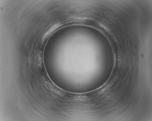 X0000057081354200509091237