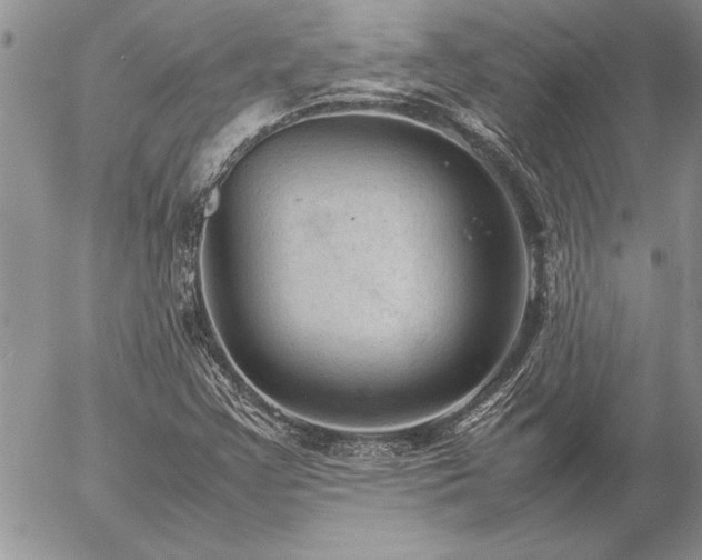 X0000057081355200509091237