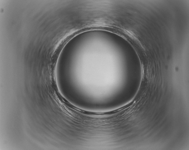 X0000057081356200509091237