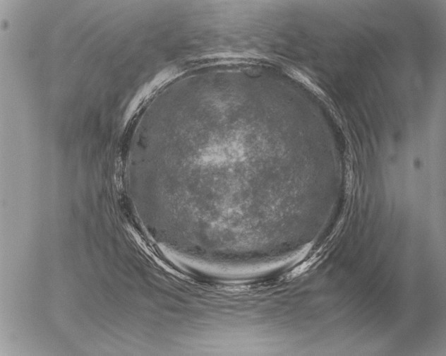 X0000057081357200509091237