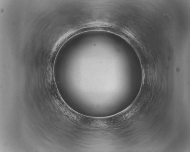 X0000057081358200509091237