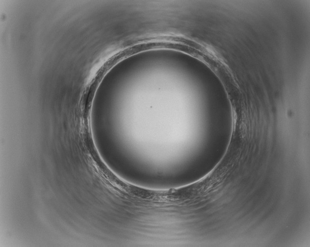 X0000057081360200509091237