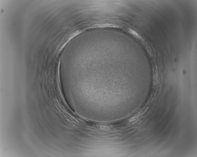 X0000057081361200509091237