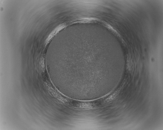 X0000057081362200509091237