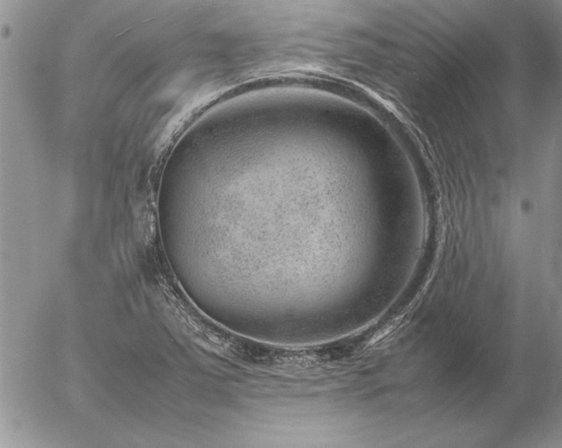 X0000057081363200509091237