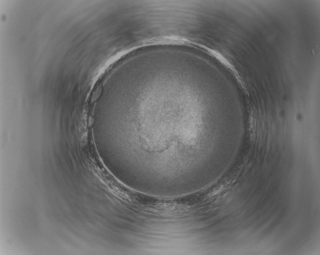 X0000057081364200509091237