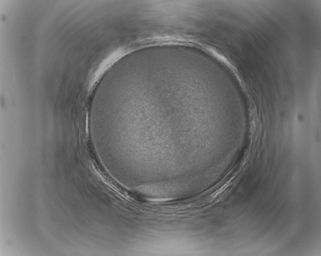 X0000057081365200509091237