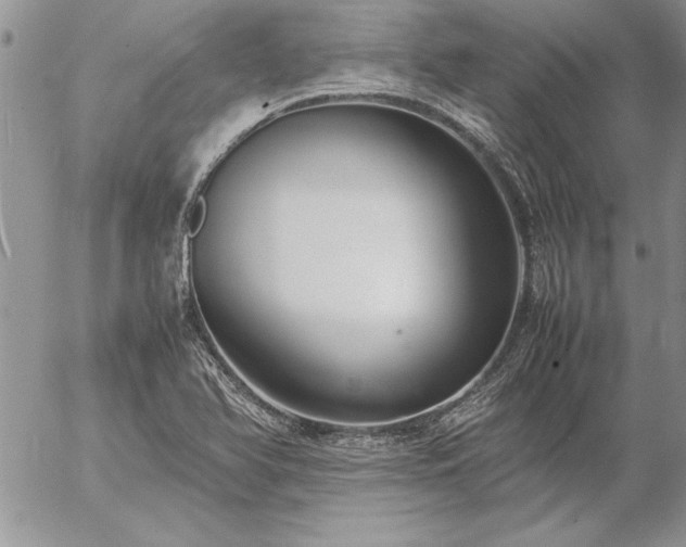 X0000057081366200509091237