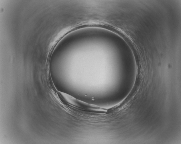 X0000057081367200509091237