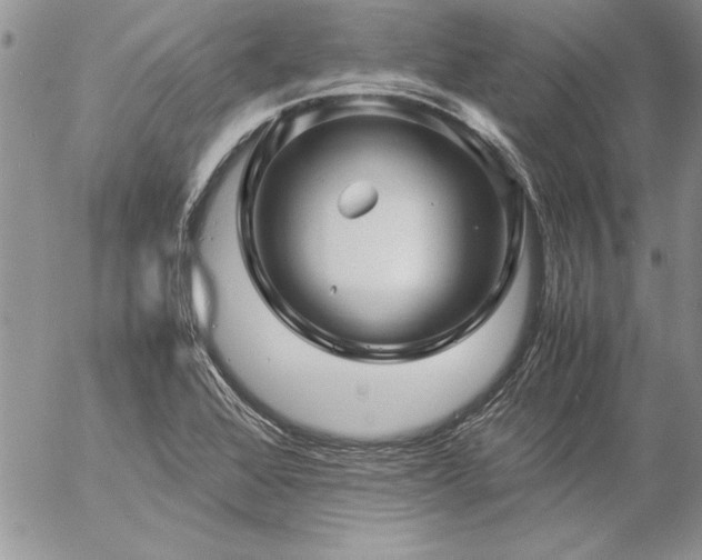 X0000057081368200509091237