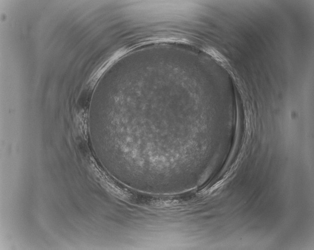 X0000057081369200509091237