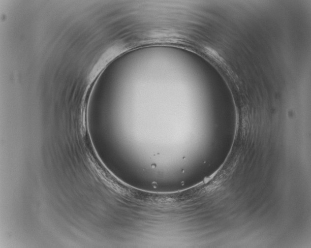 X0000057081370200509091237