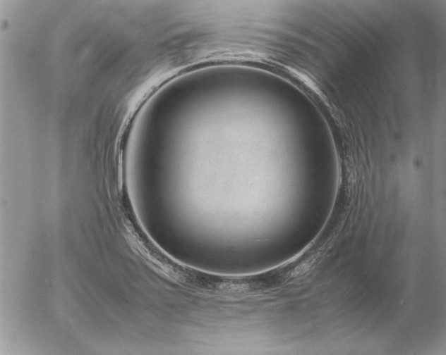 X0000057081371200509091237