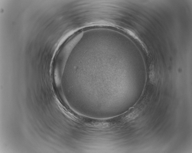 X0000057081372200509091237