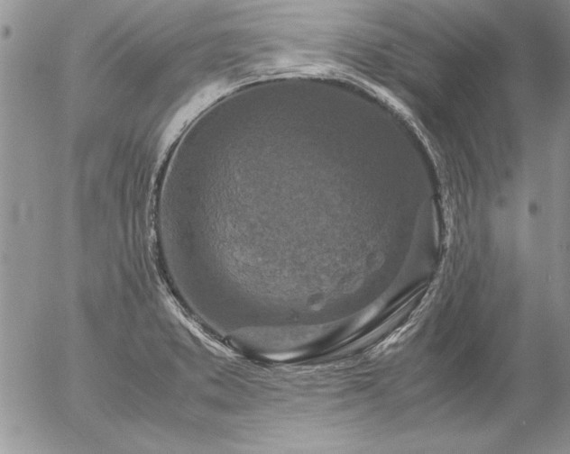 X0000057081373200509091237