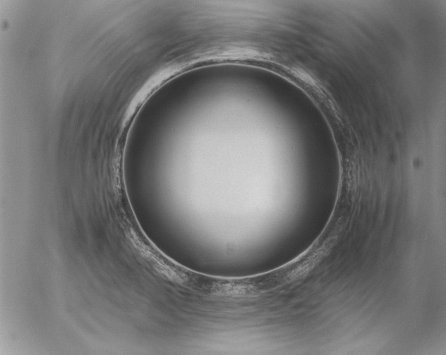 X0000057081374200509091237