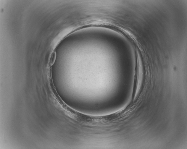 X0000057081375200509091237