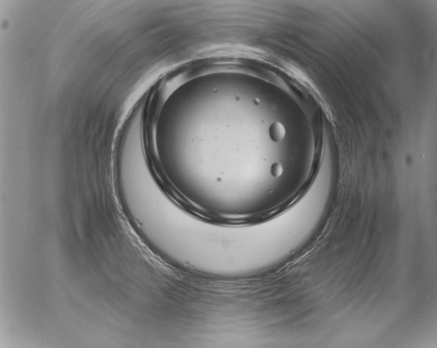 X0000057081376200509091237