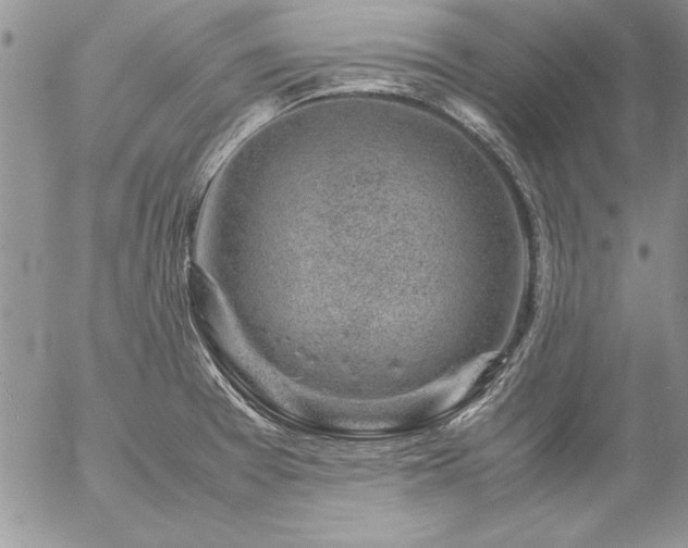 X0000057081377200509091237