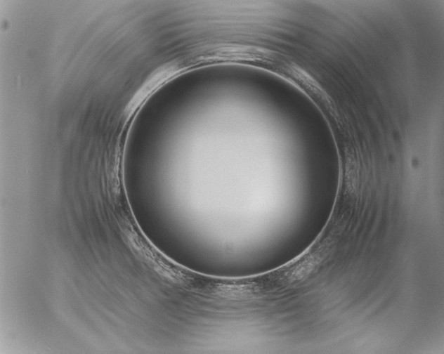 X0000057081378200509091237