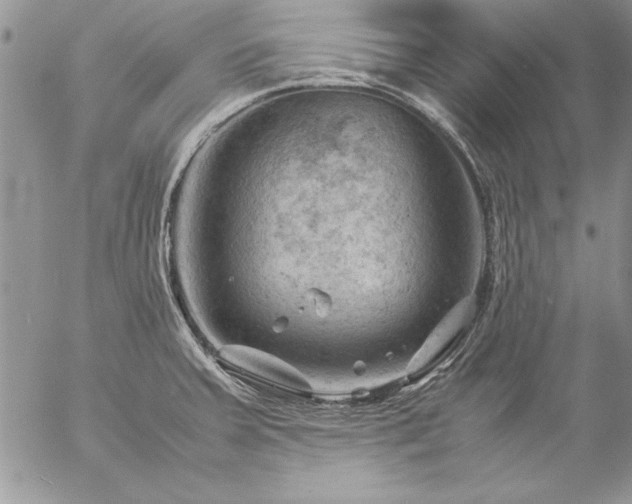 X0000057081379200509091237