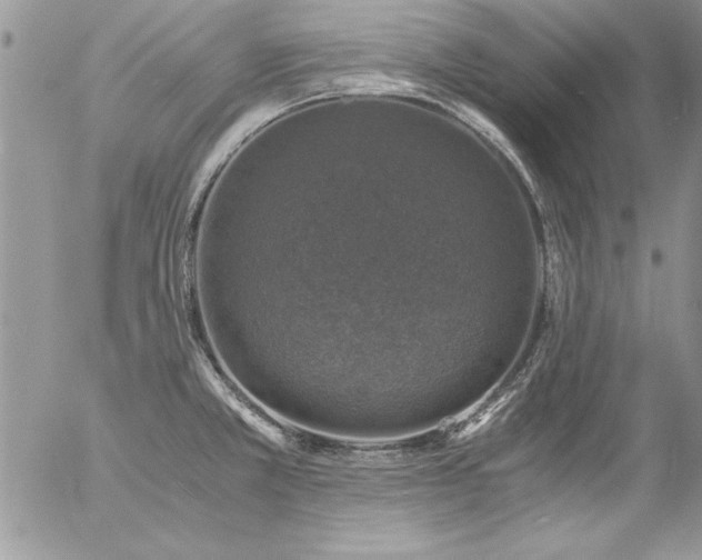 X0000057081381200509091237