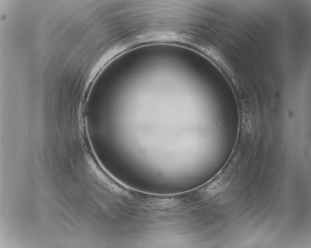 X0000057081382200509091237