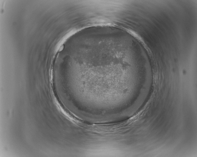 X0000057081383200509091237