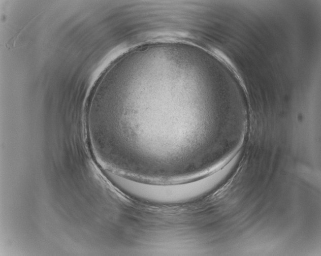 X0000057081384200509091237