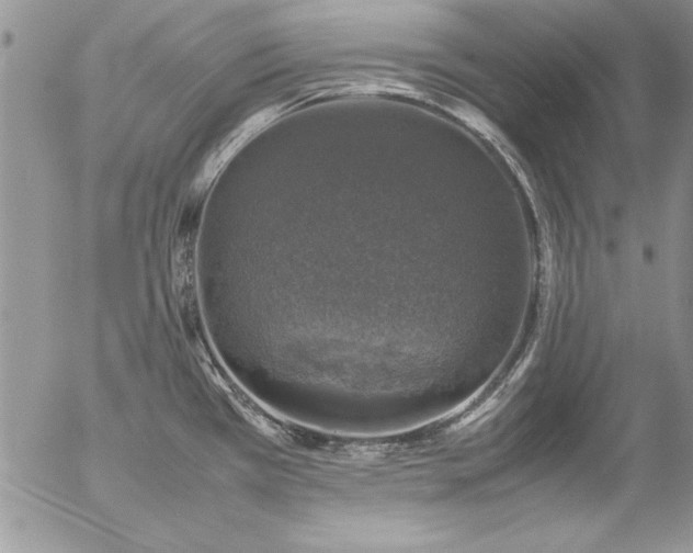 X0000057081385200509091237