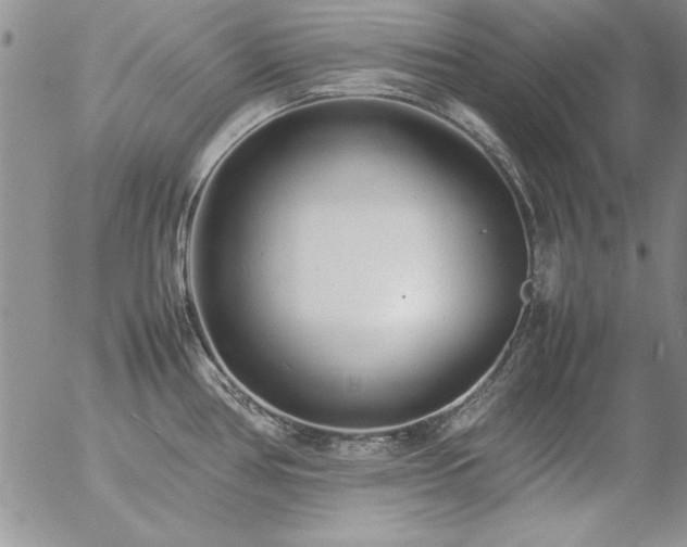 X0000057081386200509091237