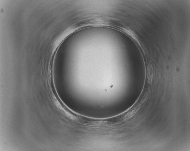 X0000057081387200509091237