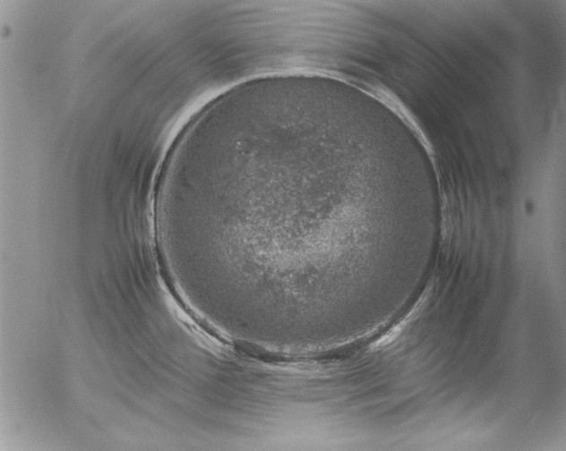 X0000057081388200509091237