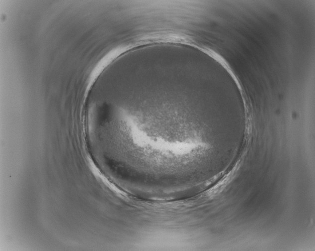 X0000057081389200509091237