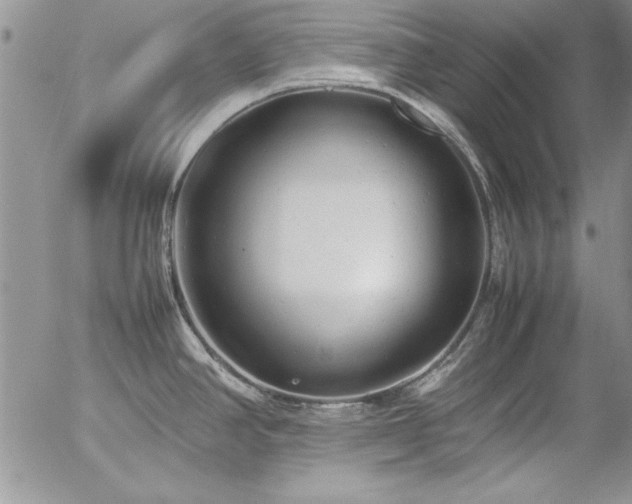 X0000057081390200509091237