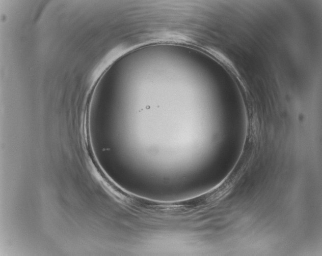 X0000057081391200509091237