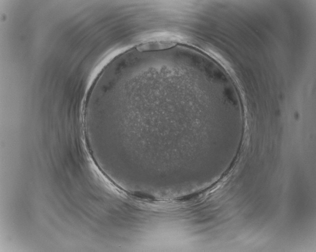 X0000057081392200509091237