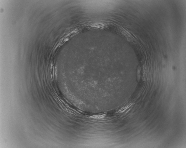 X0000057081394200509091236