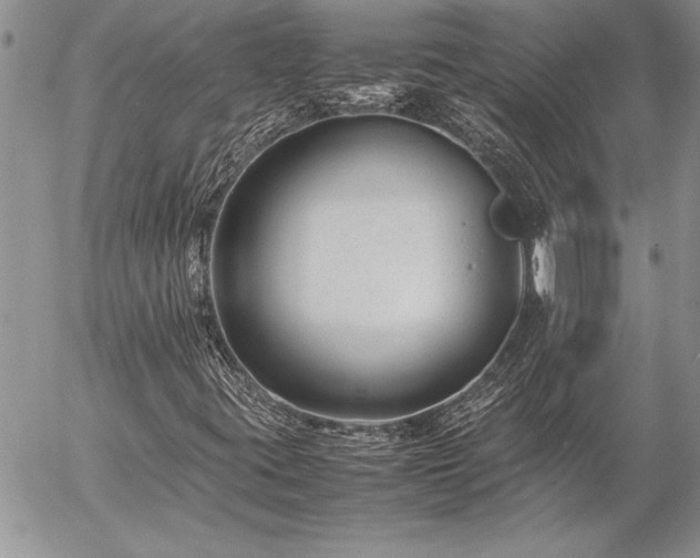 X0000057081395200509091236