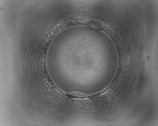 X0000057081397200509091236