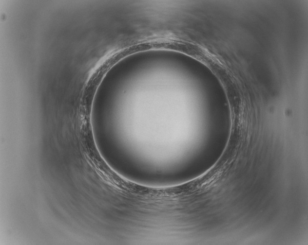 X0000057081400200509091236