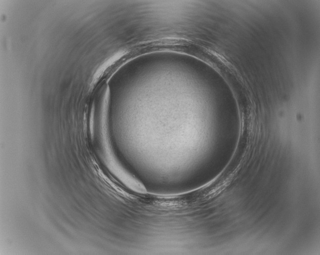 X0000057081402200509091236