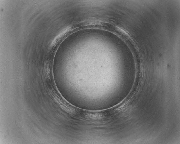 X0000057081403200509091236