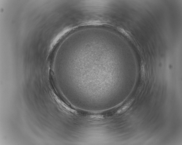 X0000057081406200509091236