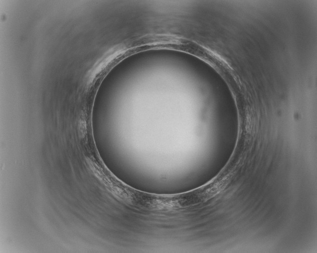 X0000057081407200509091236