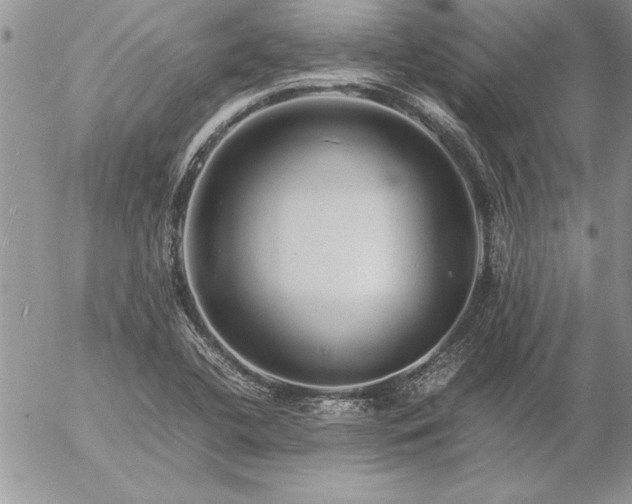 X0000057081412200509091236