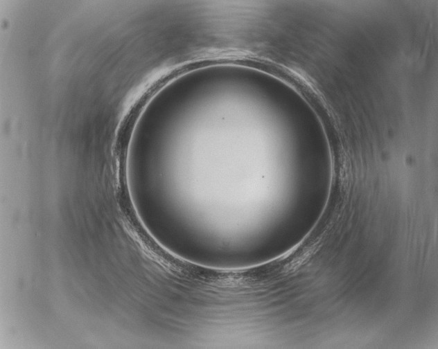 X0000057081414200509091236