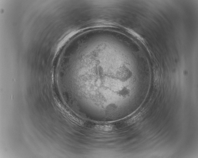 X0000057081415200509091236