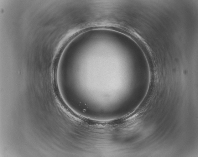 X0000057081416200509091236