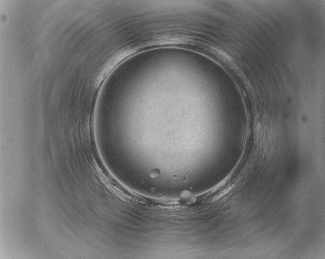 X0000057081417200509091236